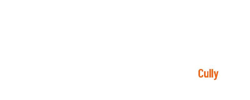 Art'Optique-Logo-cully